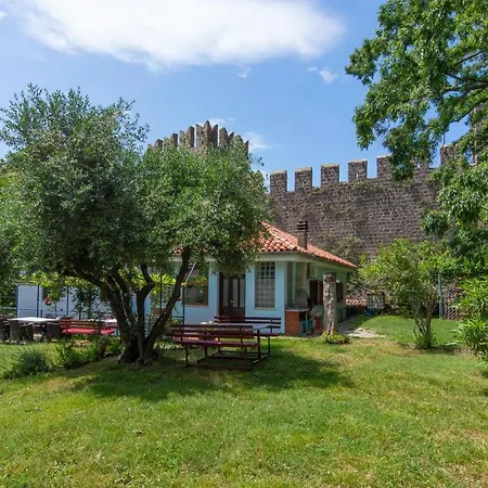 Walls Of And Apartment *