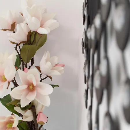 شقة Walls Of And *