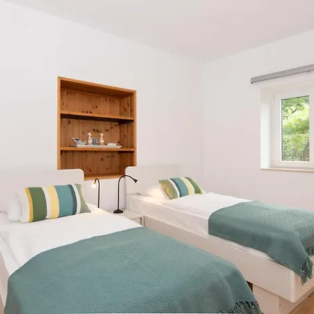 Walls Of And Apartment *