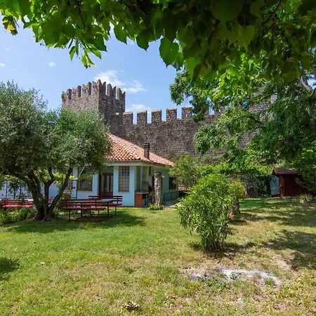 Walls Of And Apartment *