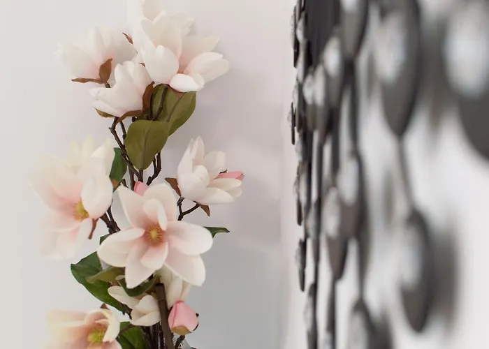 アパート Walls Of And *